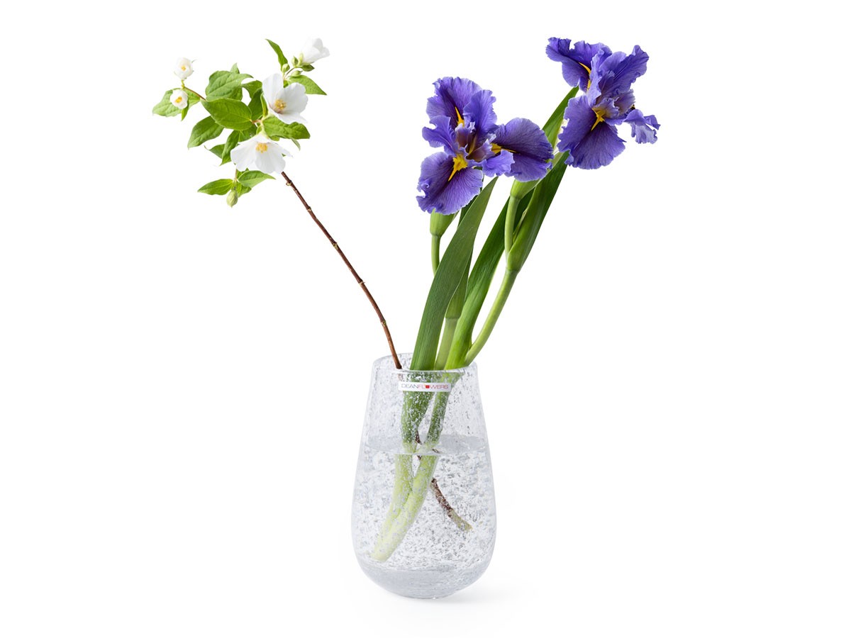 Henry Dean V.Stromboli XS / ヘンリーディーン V.ストロンボリ XS