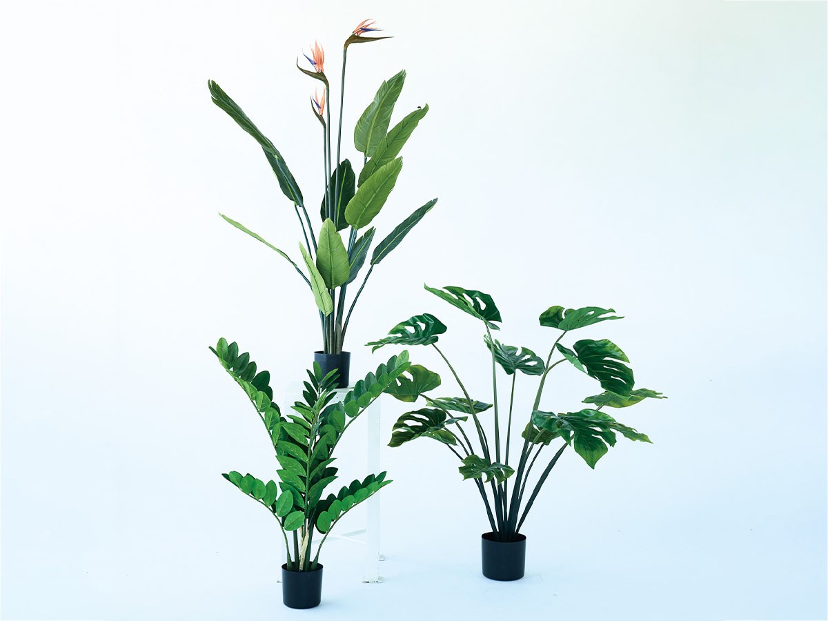 BROWN Monstera Pot / ブラウン モンステラ ポット 97 - インテリア