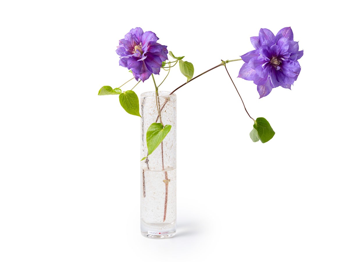 Henry Dean V.Pipe M / ヘンリーディーン V.パイプ M（スタンダード