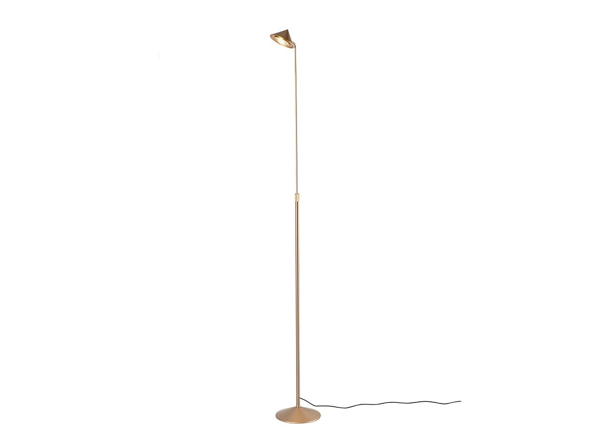 ゴールド系のフロアライト・フロアスタンド 人気アクセスランキング