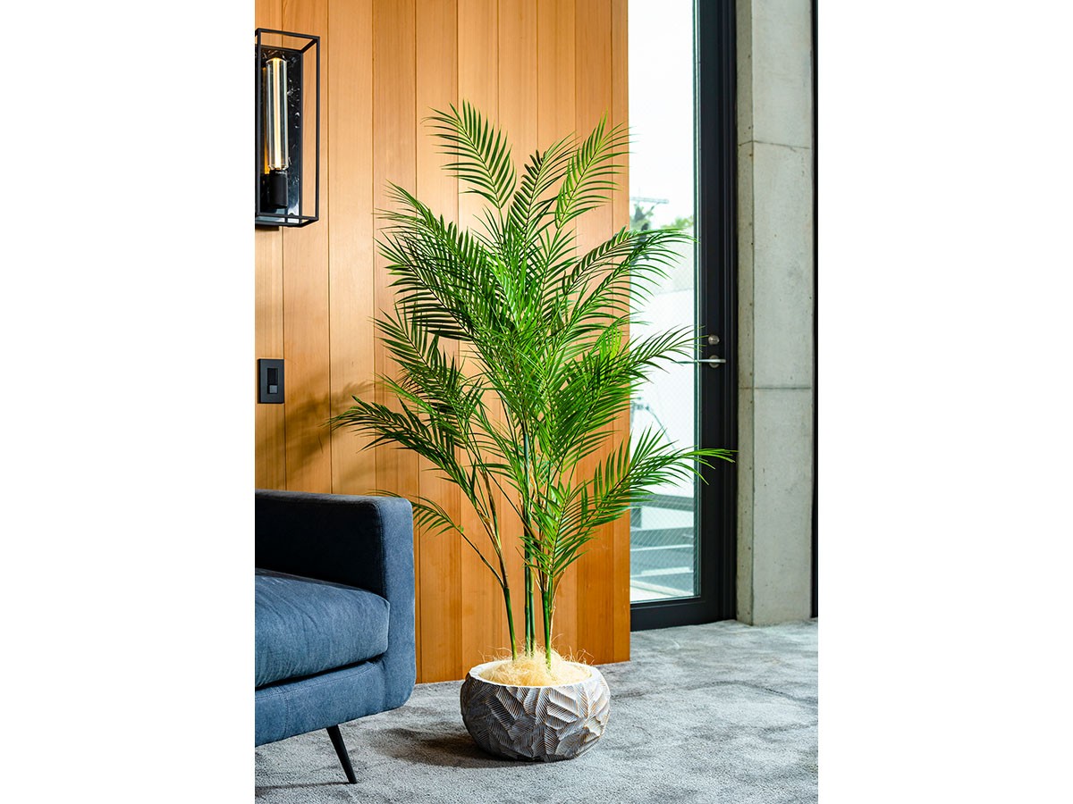 EMILIO ROBBA PALM / エミリオロバ パーム - インテリア・家具通販