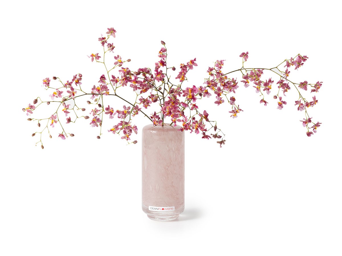 ピンク系の花瓶・フラワーベース 人気アクセスランキング - インテリア