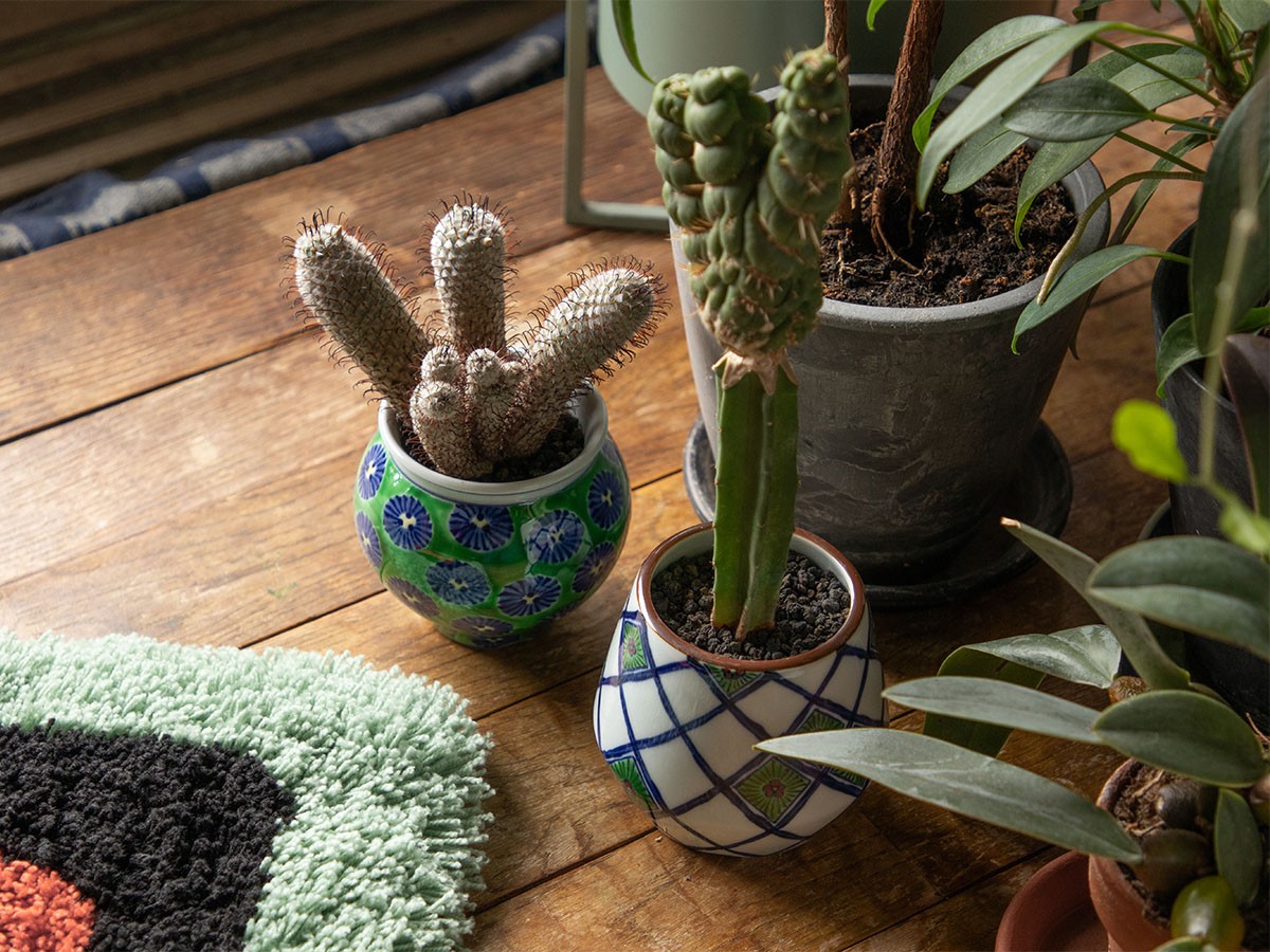 源右衛門窯 緑彩松葉紋 植木鉢 / げんえもんがま 緑彩松葉紋 植木鉢