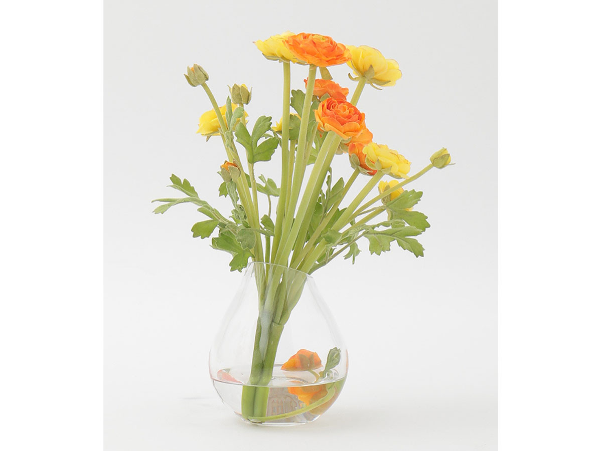 EMILIO ROBBA RANUNCULUS / エミリオロバ ラナンキュラス #101694