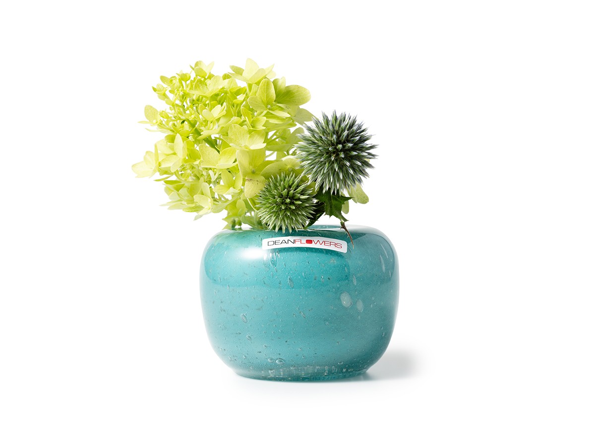 Henry Dean V.Drop S / ヘンリーディーン V.ドロップ S（カリビアン