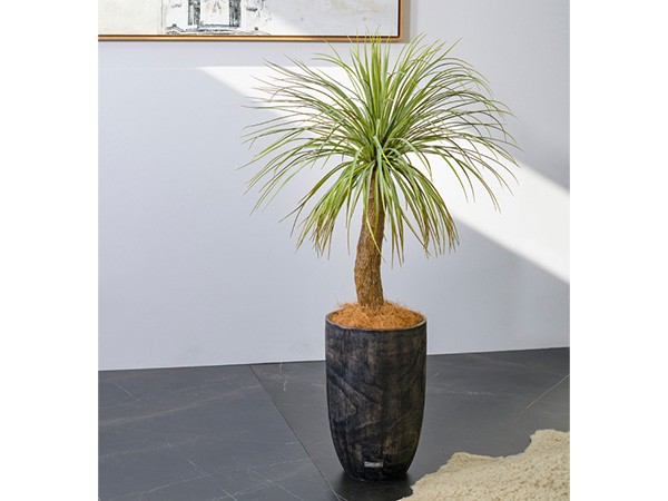 EMILIO ROBBA YUCCA / エミリオロバ ユッカ - インテリア・家具通販