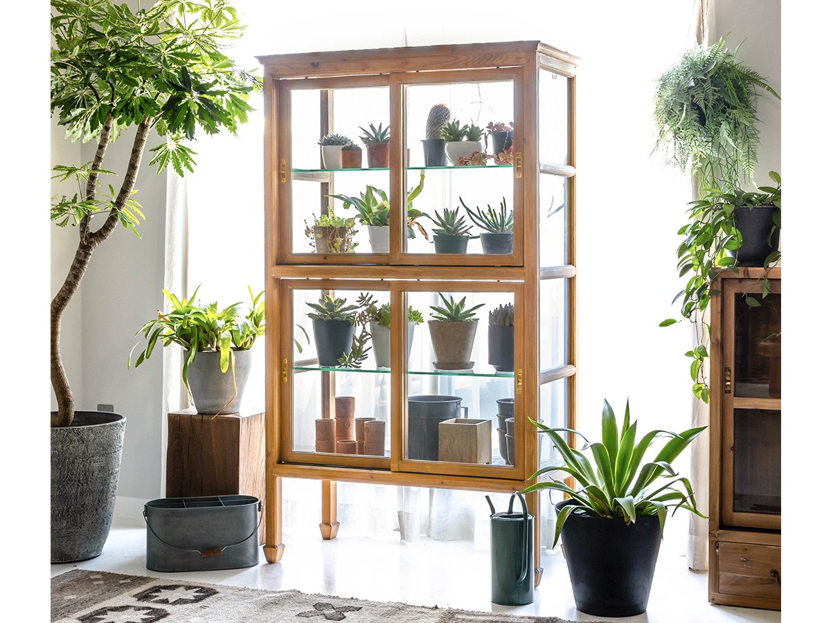 Knot antiques SURIKA GLASS CABINET / ノットアンティークス スリカ