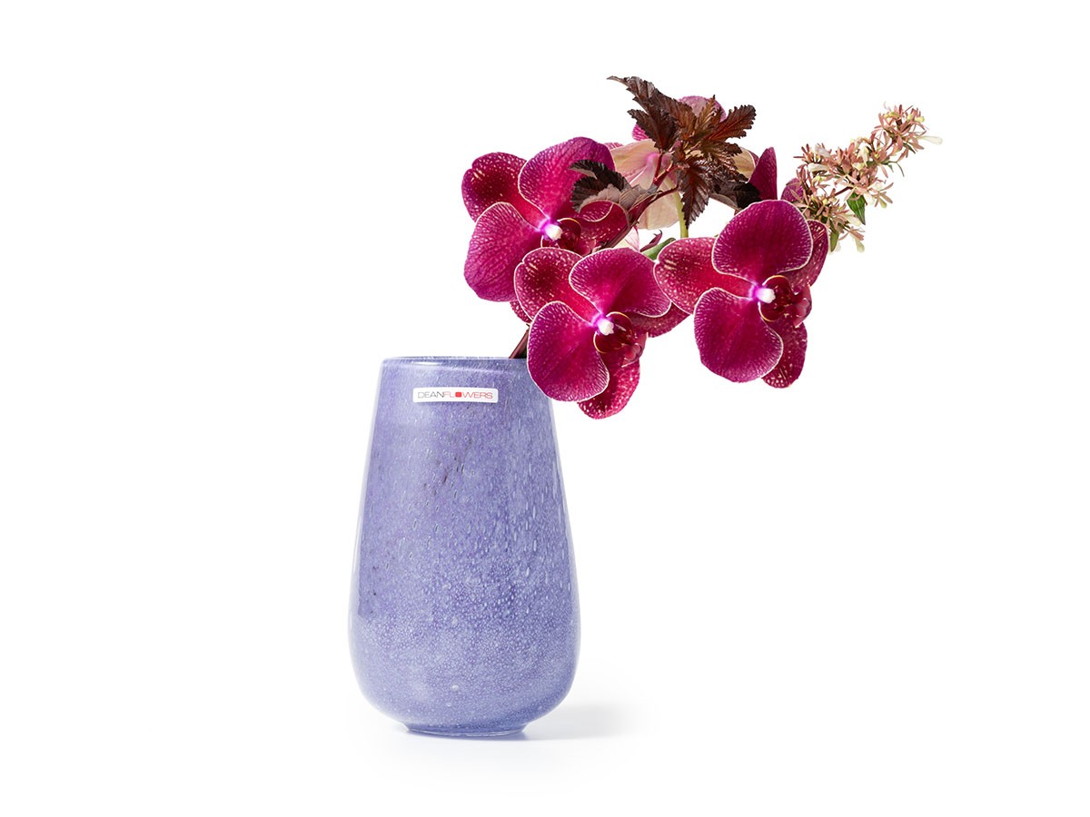 Henry Dean V.Stromboli XS / ヘンリーディーン V.ストロンボリ XS