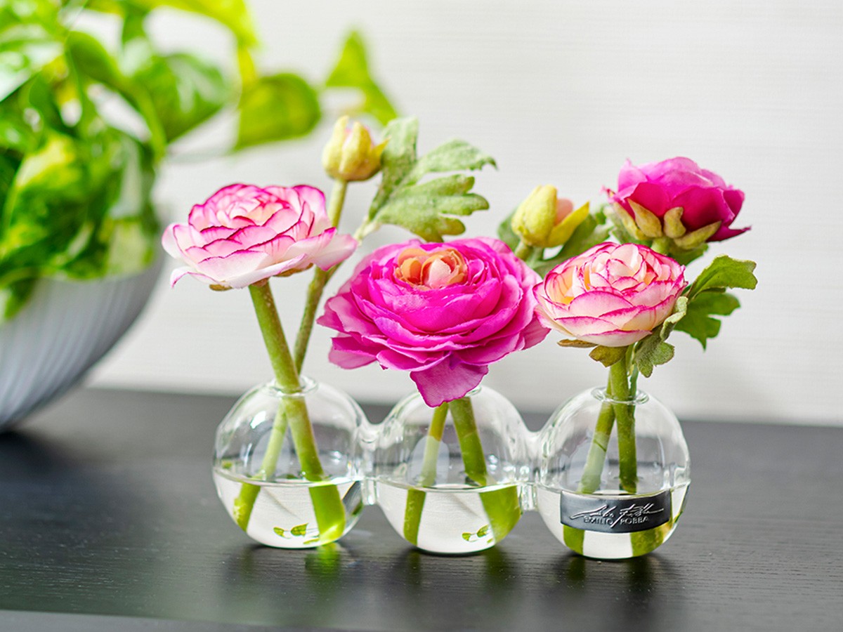 EMILIO ROBBA RANUNCULUS / エミリオロバ ラナンキュラス 3W