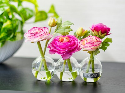 EMILIO ROBBA RANUNCULUS / エミリオロバ ラナンキュラス 3W