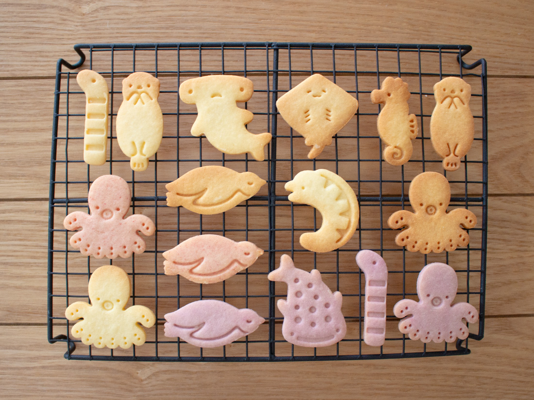 この夏に作って欲しい！海のスタンプクッキー型 | cotta staff blog