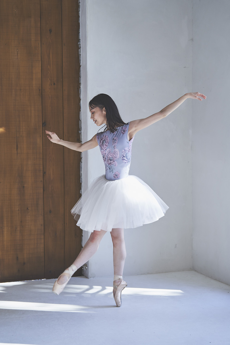 stina / type K boat neck / Dahlia imperialis silver gray