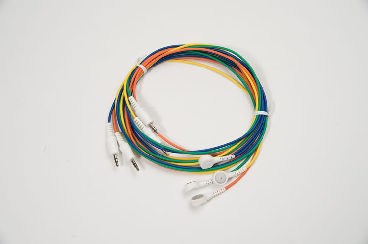 人体から科学的にストレスを取る - ストレスフリー研究会