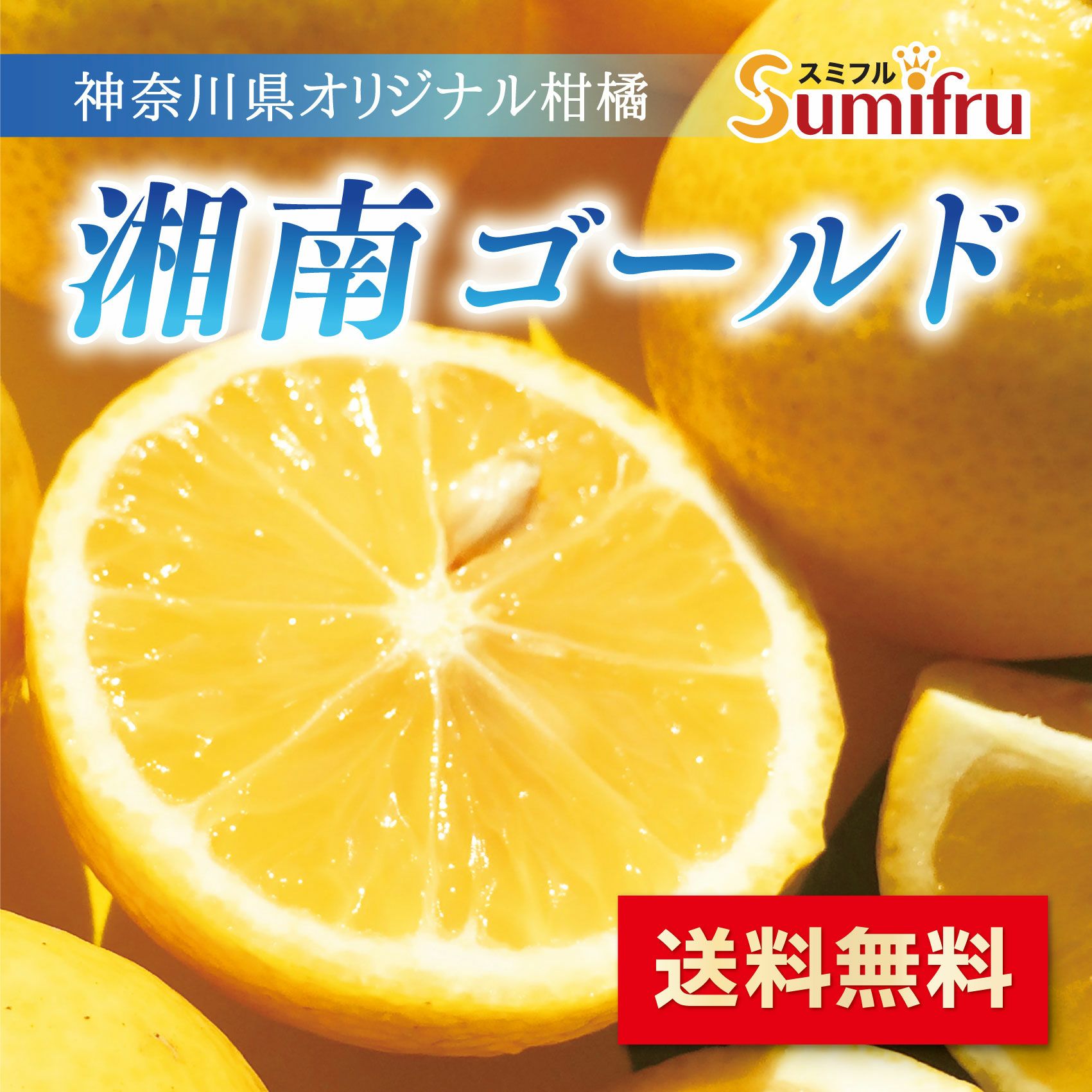 湘南ゴールド 約2.0kg | スミフルの美味しいマルシェ