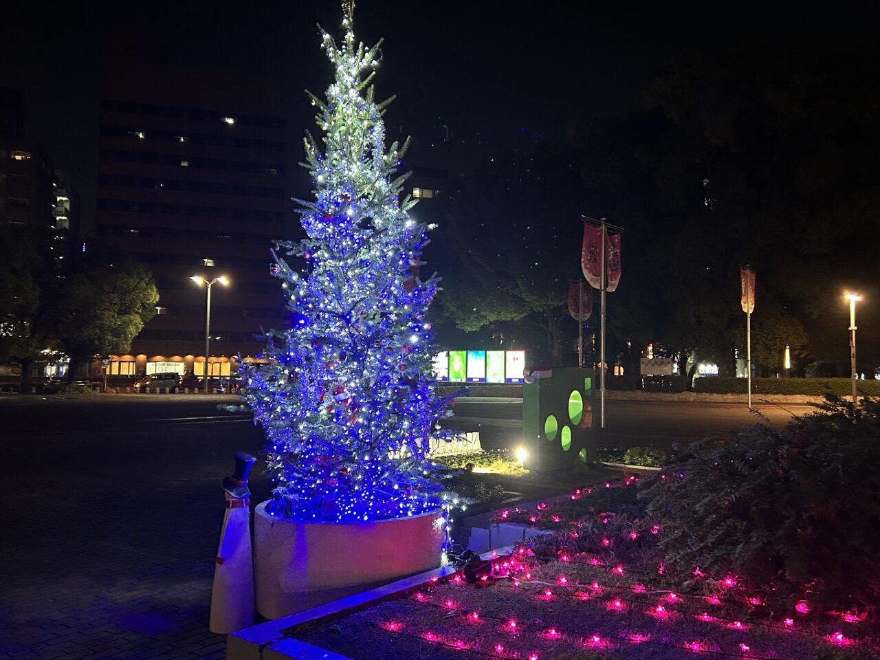 大阪市住吉区】水辺にきらめく冬の魔法。長居公園のクリスマス