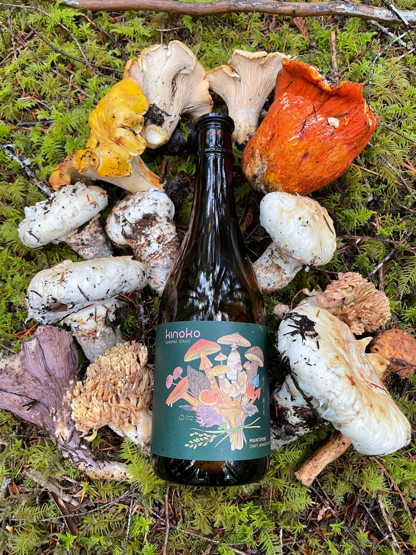 IMG_3976_1800x1800.jpg?v=