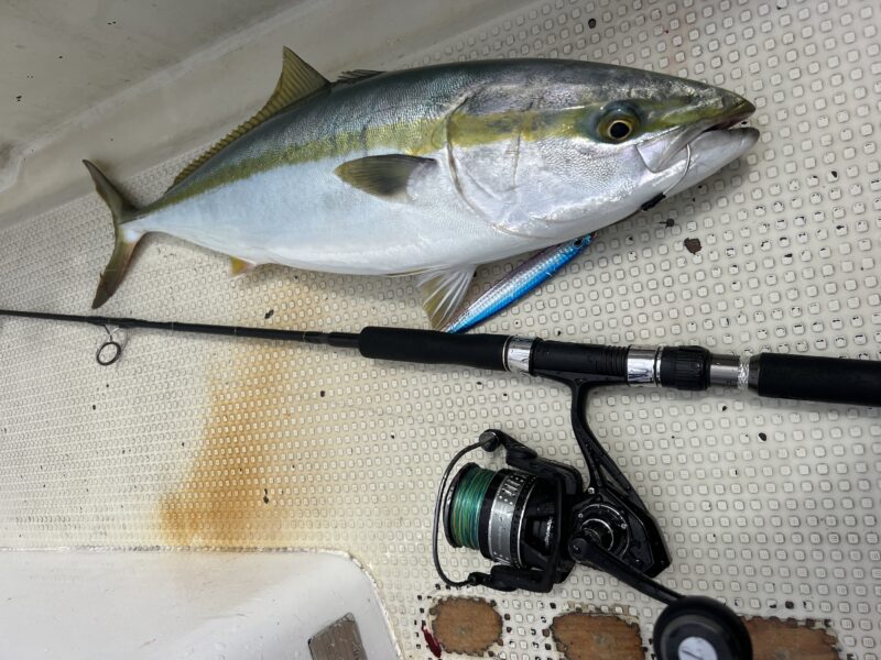 近海ジギングのスタンダードJIGFORCE SSD S603 | 須江のブログ