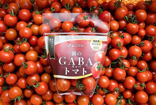 霧が育てた機能性表示食品「霧のGABAトマト」 | クラウドファン