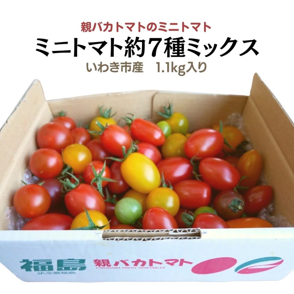 ミニトマト | 親バカトマト 助川農園 いわき市産トマト、ミニトマト