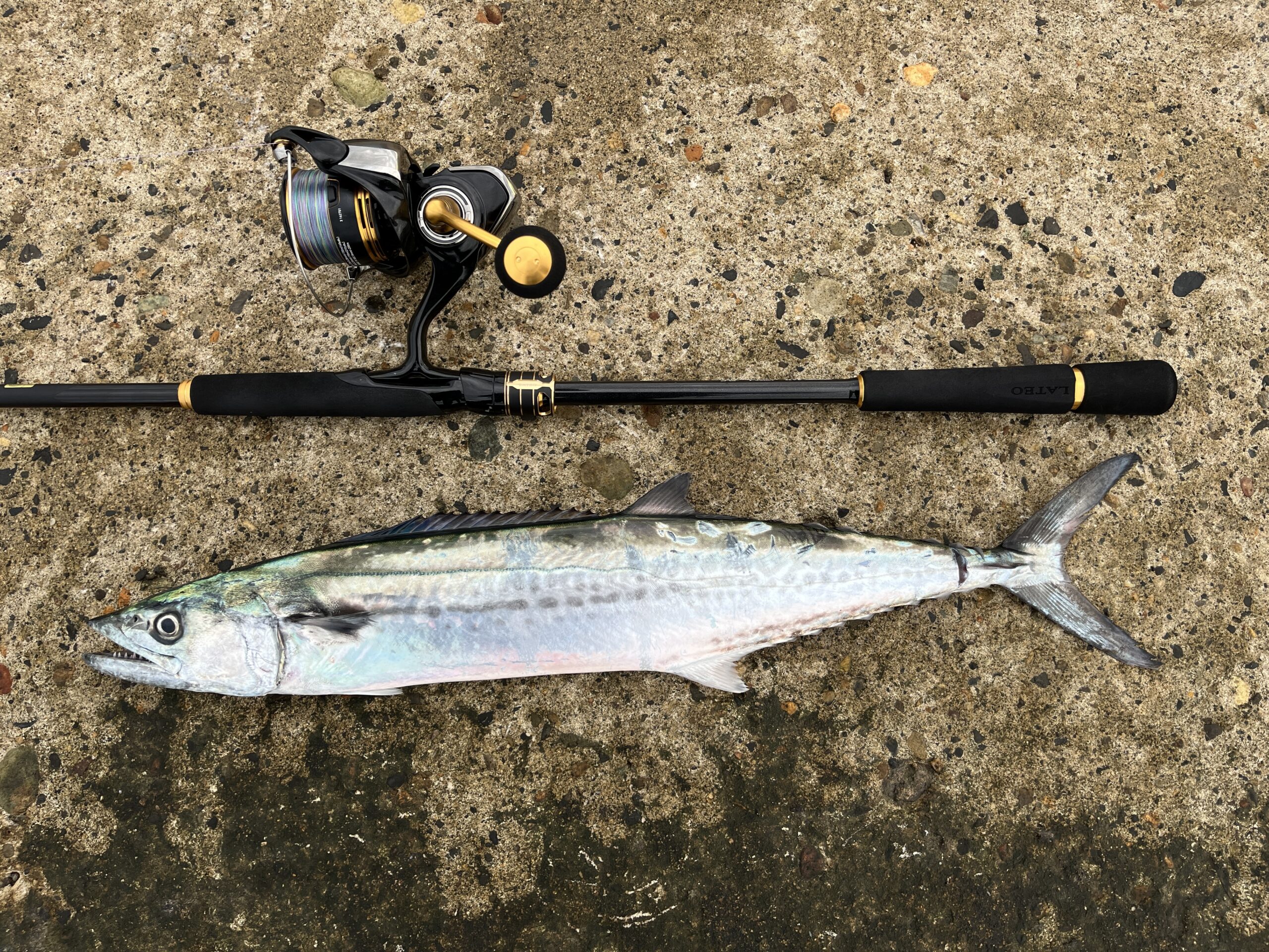 ラテオ96M」と「ディアルーナ96MH」を徹底比較！青物狙いのショアジギ