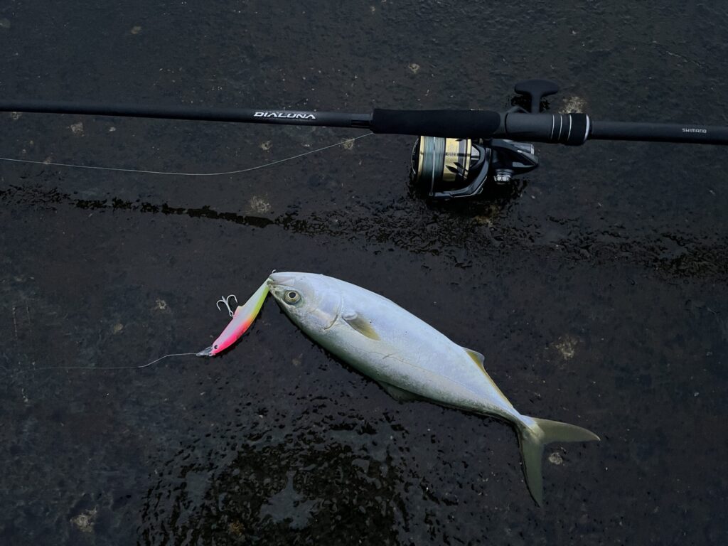 感動】23ディアルーナ「S96M」の万能っぷりが凄い！青物やヒラメ狙いに