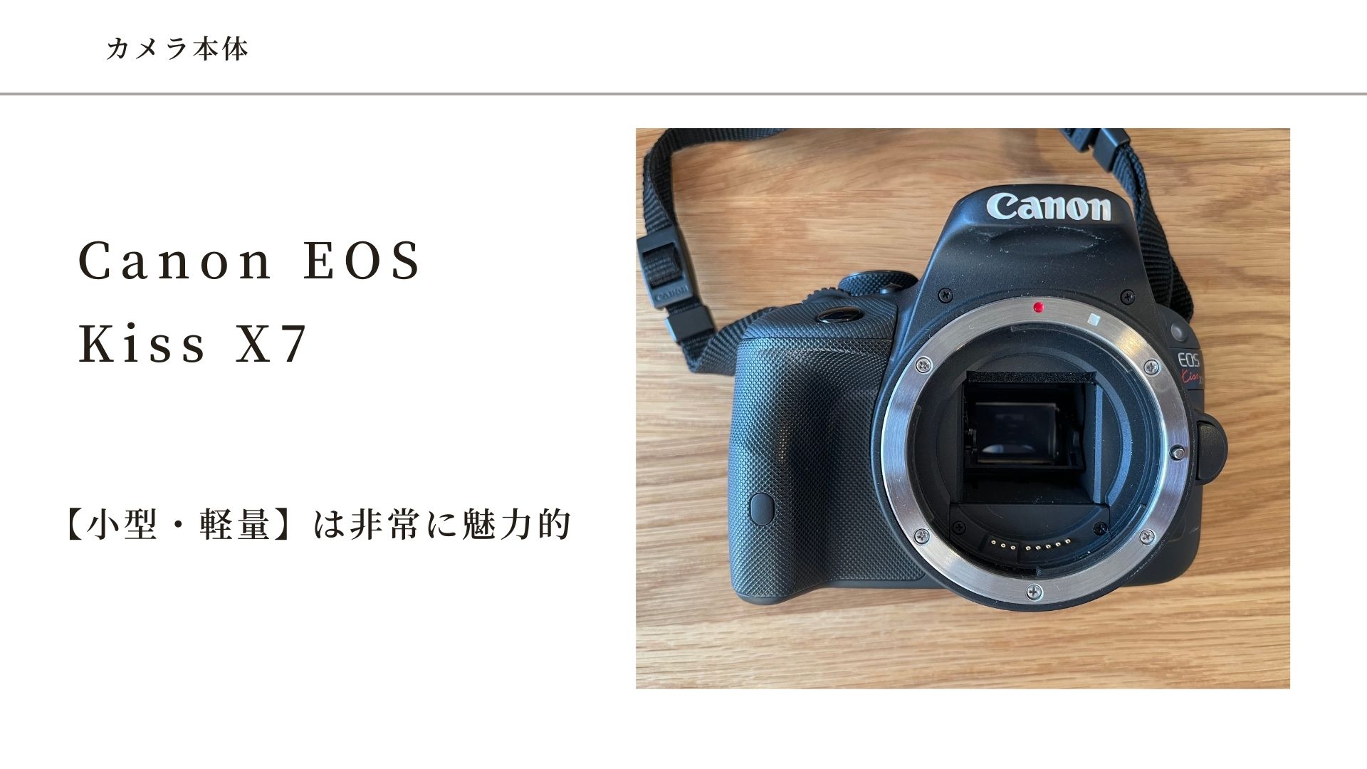 7年使い続けても、初心者におすすめの軽量一眼レフカメラ！Canon EOS
