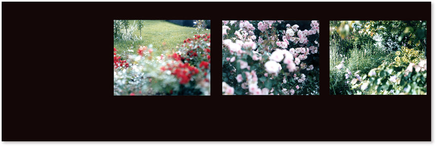 Étude Risaku Suzuki (鈴木理策) – SUPER LABO