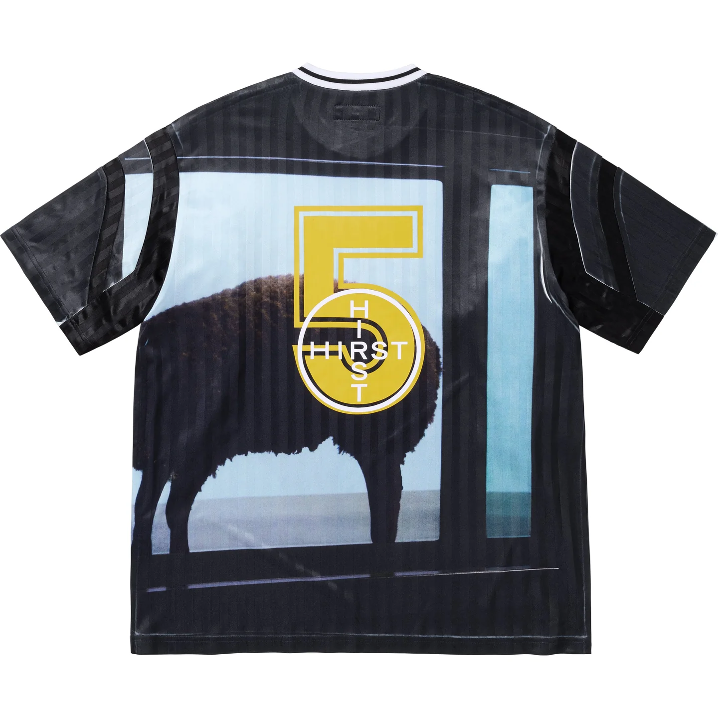 Supreme/Damien Hirst Soccer Jersey | Supreme 25ss