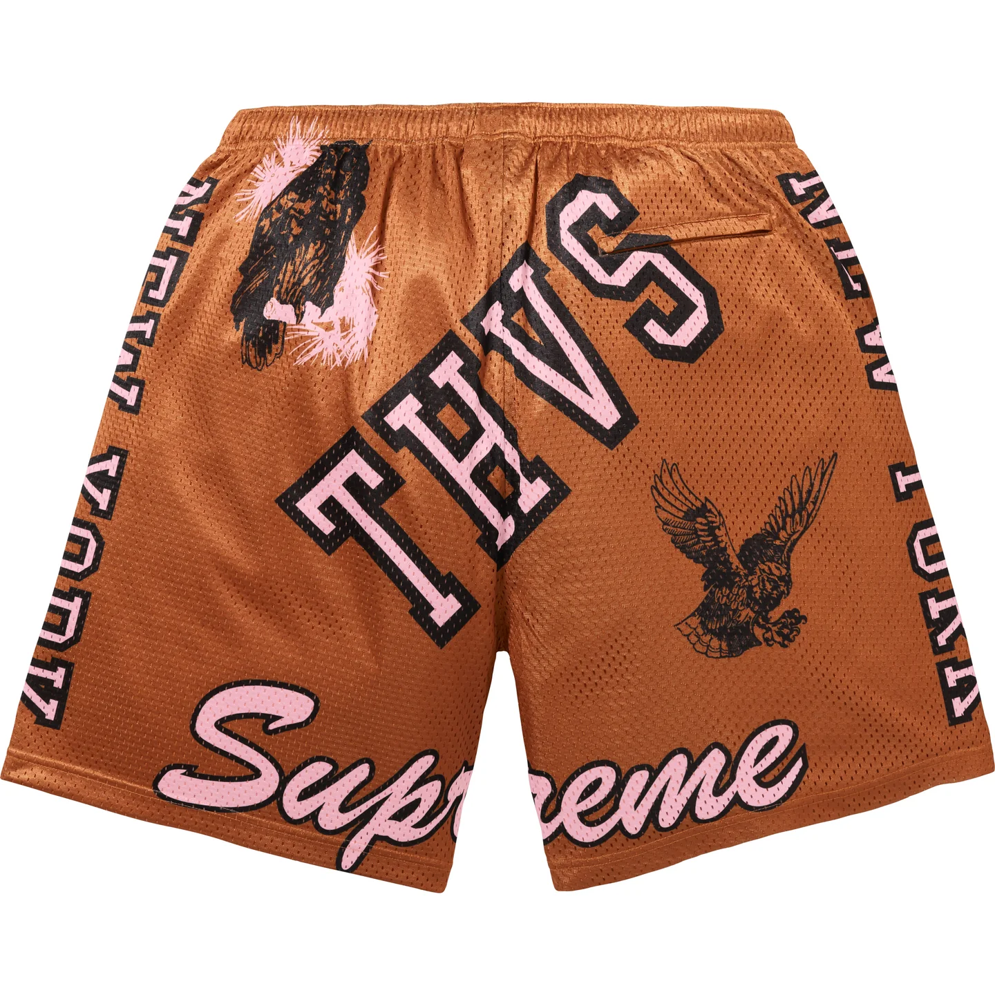 Varsity Mesh Short | Supreme 25ss