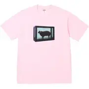 Supreme/Damien Hirst Soccer Short | Supreme 25ss