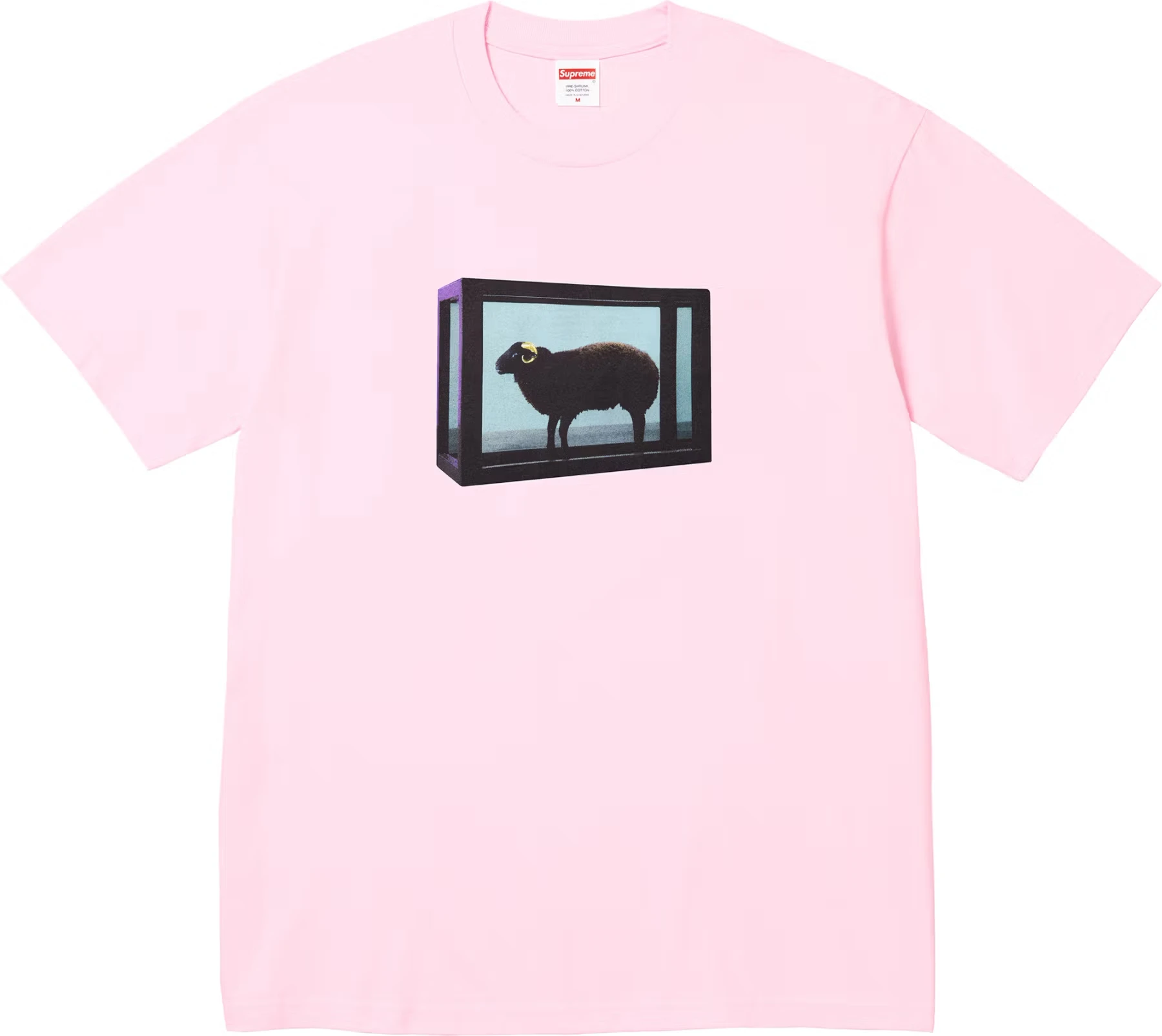 Supreme/Damien Hirst Tee | Supreme 25ss