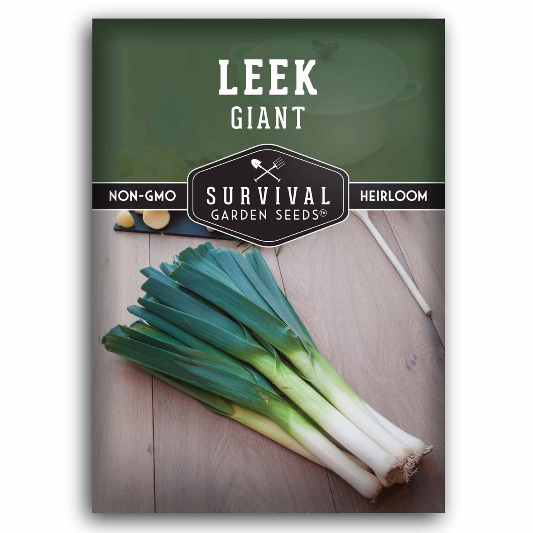 Giant Leek Seeds – Heirloom AAS Winner – SurvivalGardenSeeds