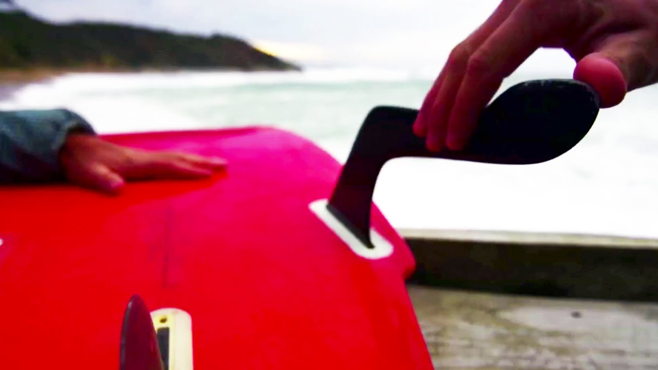 S Wings are Biomimetic Fins