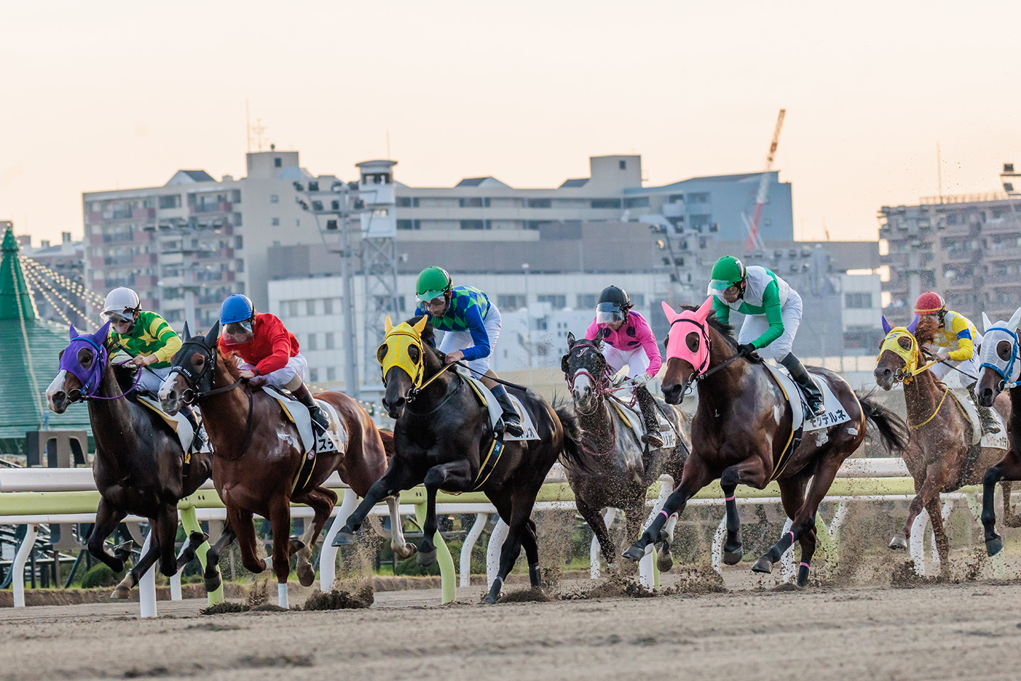 東京シティ競馬(大井競馬場)の観光ガイド (東京都品川区勝島2-1-2