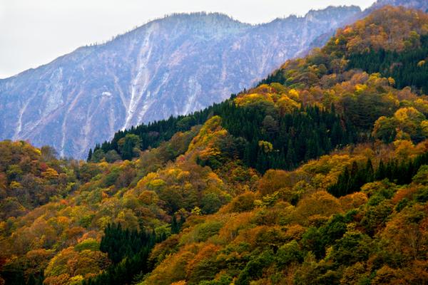 秋山郷 | 旅サラダPLUS 観光・お出かけSPOT